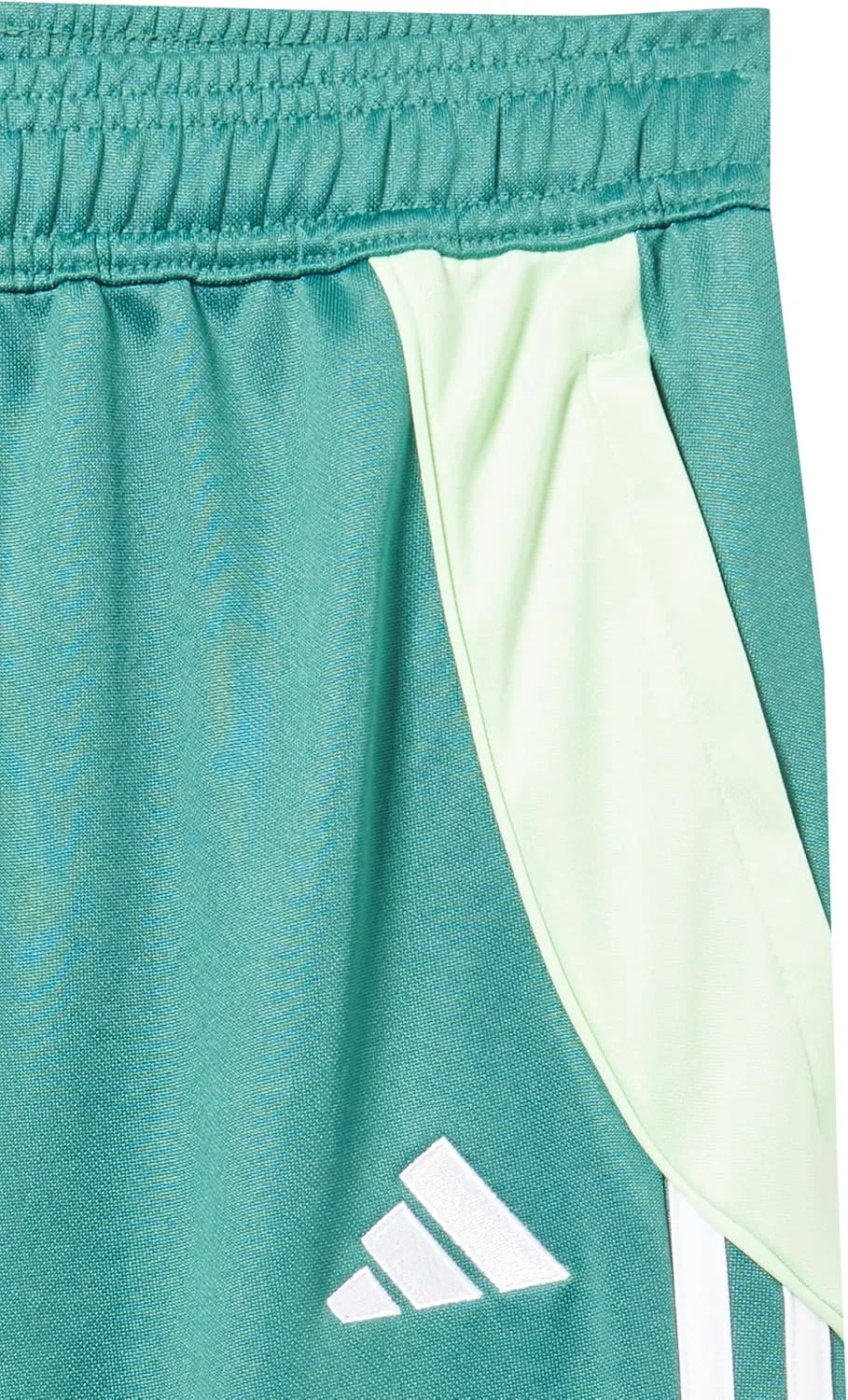 Adidas Tiro 24 Competition Training Pants