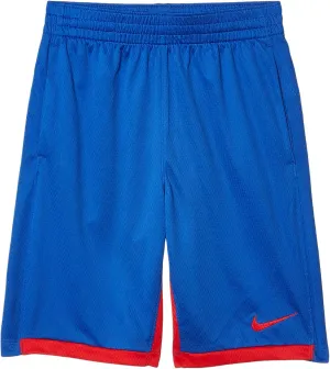 Nike Dry Training Short (Big Kids)